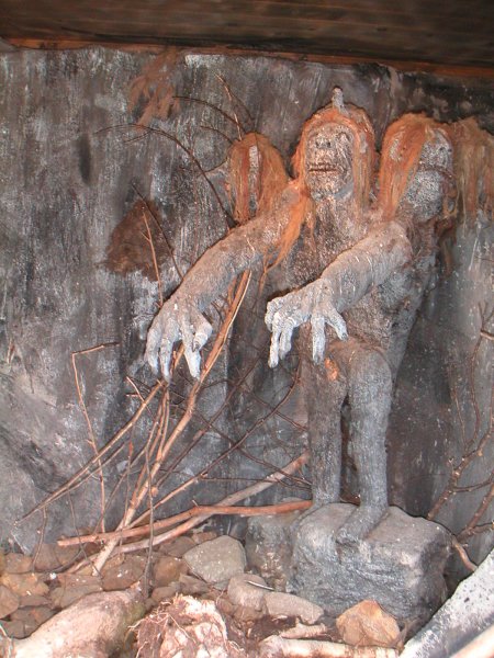 PICT0005.JPG PICT0005.JPG