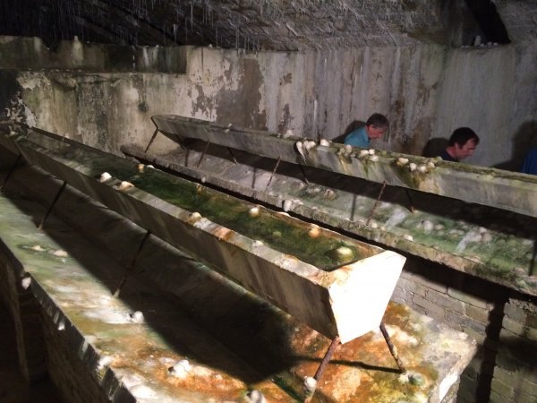 2015-06-26 15.36.29.jpg