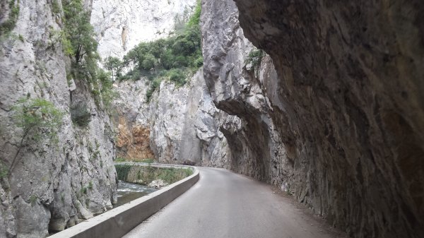 2015-07-02 12.22.09.jpg