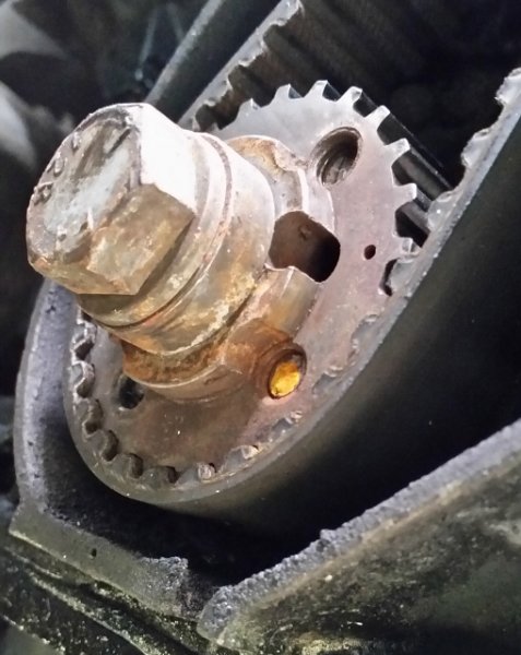 20150717_142715 (509x640).jpg