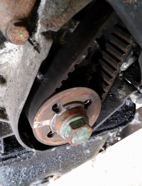 20150720_154540 (488x640).jpg