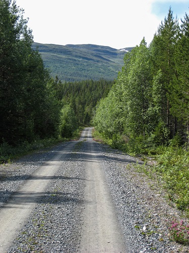 IMG_0107.jpg IMG_0107.jpg