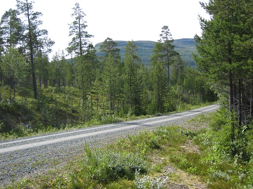 IMG_0108.jpg IMG_0108.jpg