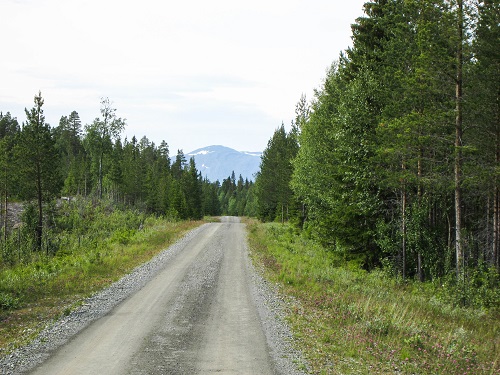 IMG_0113.jpg IMG_0113.jpg