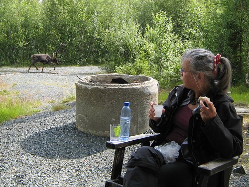 IMG_0115.jpg IMG_0115.jpg