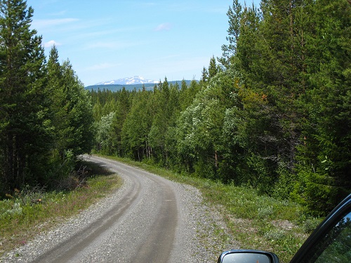 IMG_0110.jpg IMG_0110.jpg