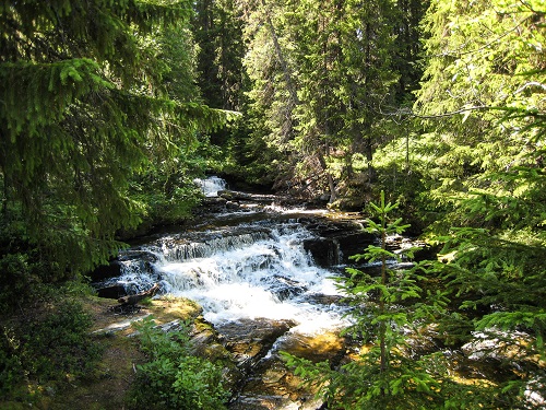 IMG_0101.jpg IMG_0101.jpg