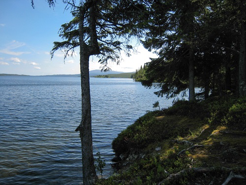 IMG_0103.jpg IMG_0103.jpg