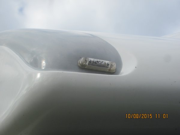 IMG_7352.JPG