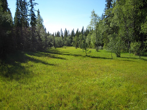 IMG_0136.jpg IMG_0136.jpg