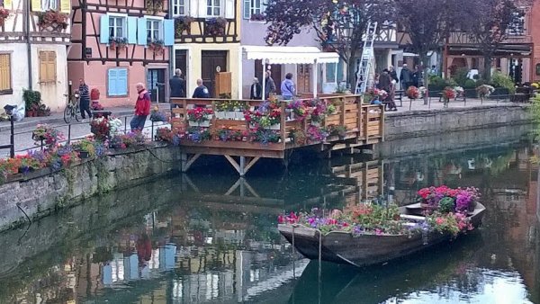 unnamed (1).jpg unnamed (1).jpg