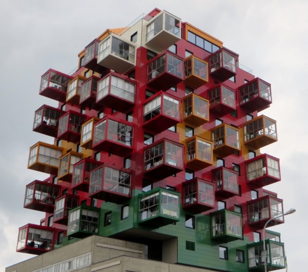 IMG_1672 (800x709).jpg