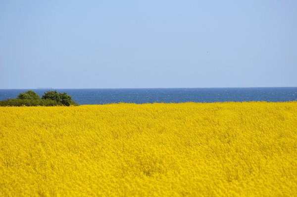 Sve8 Össby Öland.JPG