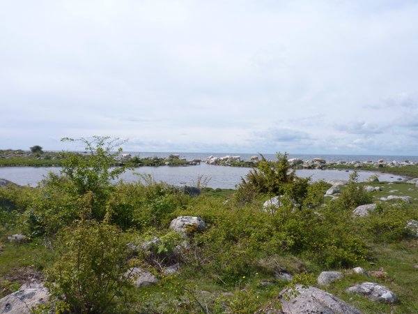 aPå spåret 2015.JPG