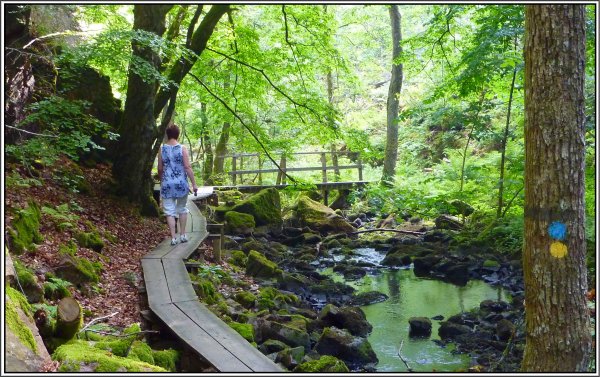 Sve14 Söderåsens nationalpark.JPG