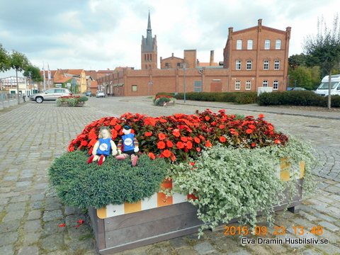 DSCN6933.jpg
