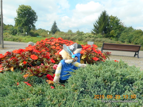 DSCN6935.jpg