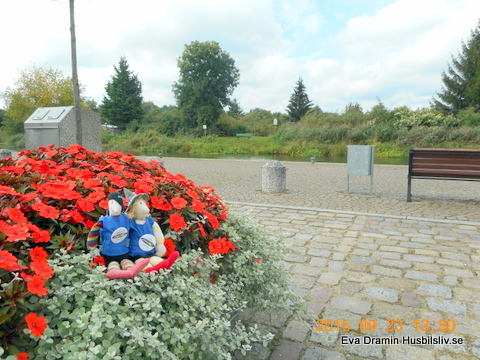 DSCN6934.jpg