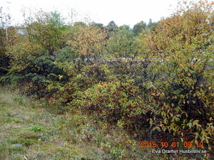 DSCN6993.JPG