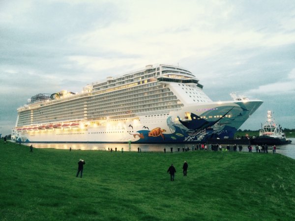 weener2.jpg weener2.jpg