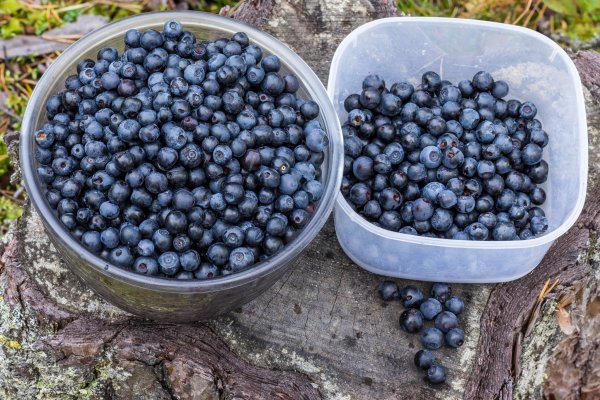 20150919-019.jpg 20150919-019.jpg