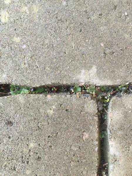 Fil 2015-10-14 16 35 22.jpeg