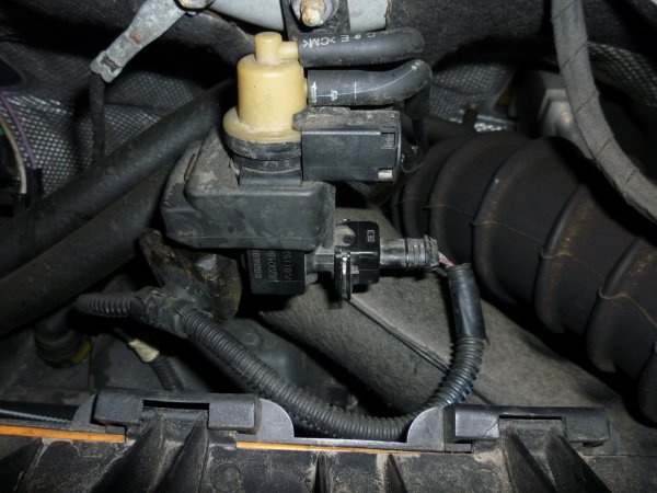 P1030900.JPG P1030900.JPG