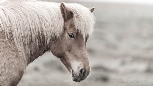 130520.878.jpg 130520.878.jpg