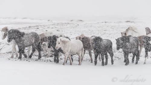 150311.026-Redigera.jpg 150311.026-Redigera.jpg