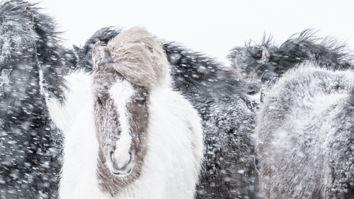 150311.027.jpg 150311.027.jpg