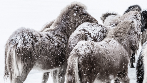 150311.035.jpg 150311.035.jpg