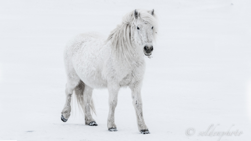 150311.039-Redigera.jpg 150311.039-Redigera.jpg