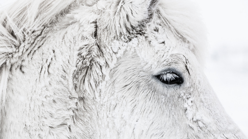 150311.046.jpg 150311.046.jpg