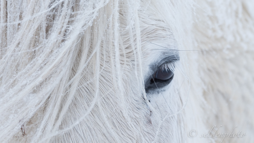 150311.071.jpg 150311.071.jpg