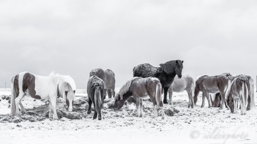 150311.168.jpg 150311.168.jpg