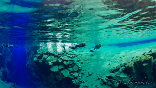 140303.1689.jpg 140303.1689.jpg