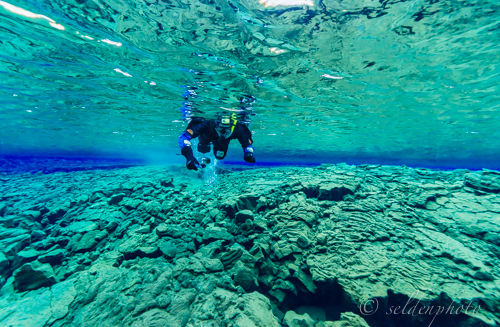 140303.1713.jpg 140303.1713.jpg