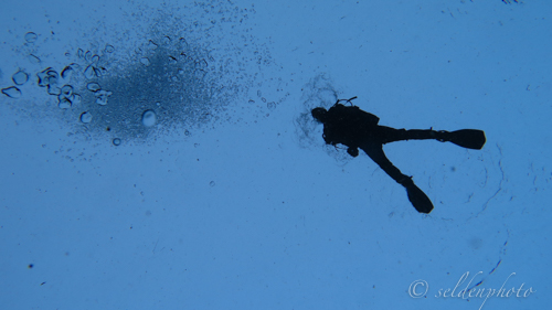 150313.064.jpg 150313.064.jpg