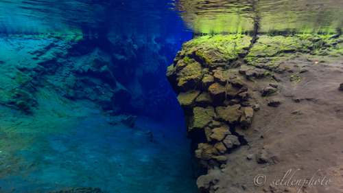 150617.1117.jpg 150617.1117.jpg