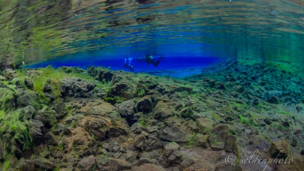 150617.1121.jpg 150617.1121.jpg