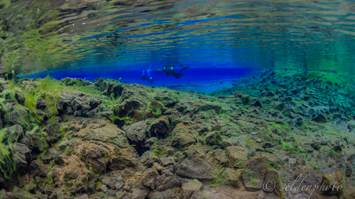 150617.1122.jpg 150617.1122.jpg