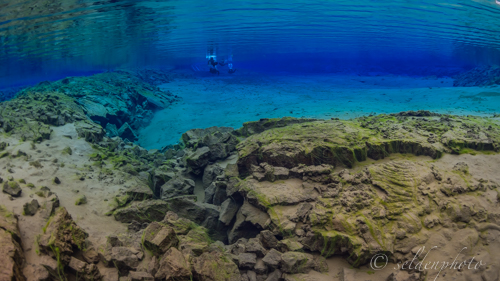 150617.1127.jpg 150617.1127.jpg