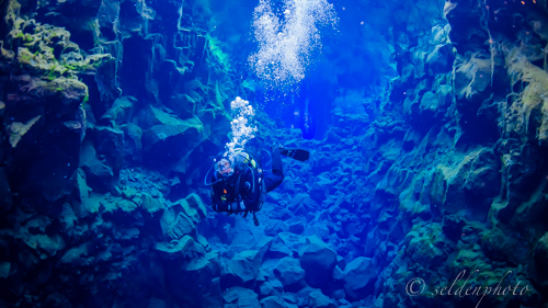 150617.1302.jpg 150617.1302.jpg