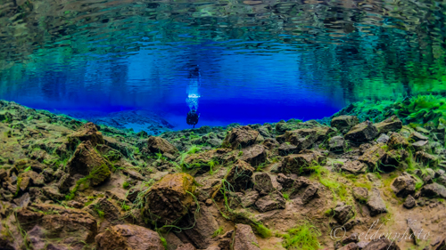 150617.1400.jpg 150617.1400.jpg