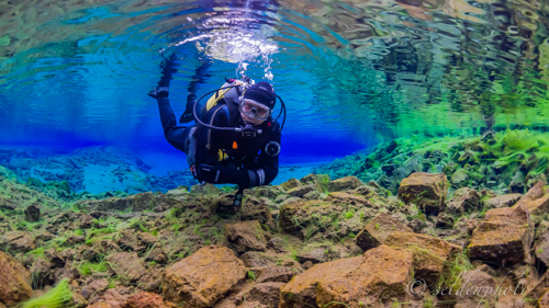 150617.1416.jpg 150617.1416.jpg