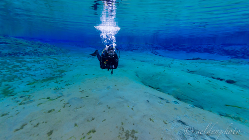 150617.1475.jpg 150617.1475.jpg