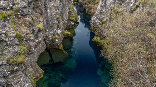 150617.1679.jpg 150617.1679.jpg