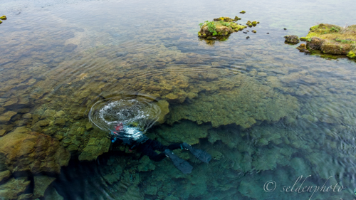 150617.1710.jpg 150617.1710.jpg