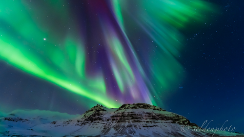 TL 150318-574.jpg TL 150318-574.jpg