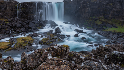 150617.1737.jpg 150617.1737.jpg